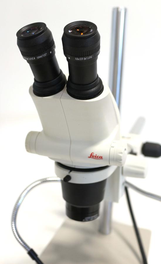 https://www.keySurplus.com/clientresources/107/108/42/342/192026-1-Leica-S6-E-Stereo-Microscope-with-Boom-Stand-2.jpg