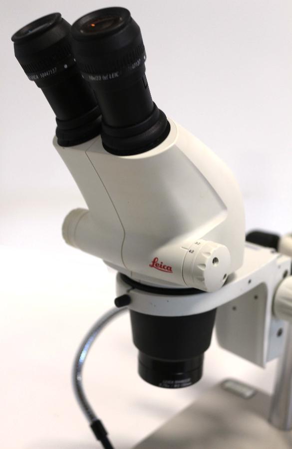 https://www.keySurplus.com/clientresources/107/108/42/342/192026-2-Leica-S6-E-Stereo-Microscope-with-Boom-Stand-3.jpg