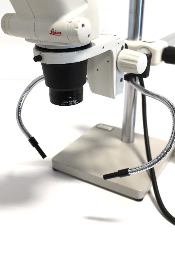https://www.keySurplus.com/clientresources/107/108/42/342/192026-3-Leica-S6-E-Stereo-Microscope-with-Boom-Stand-6.jpg